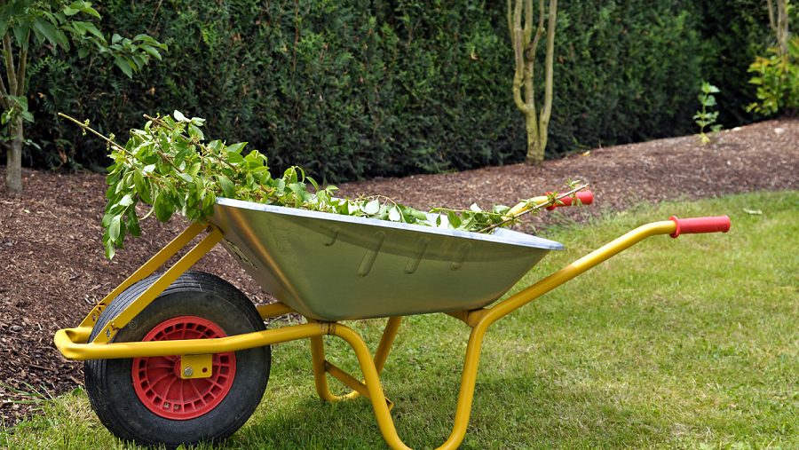 Picture of wheelbarrow with garden waste